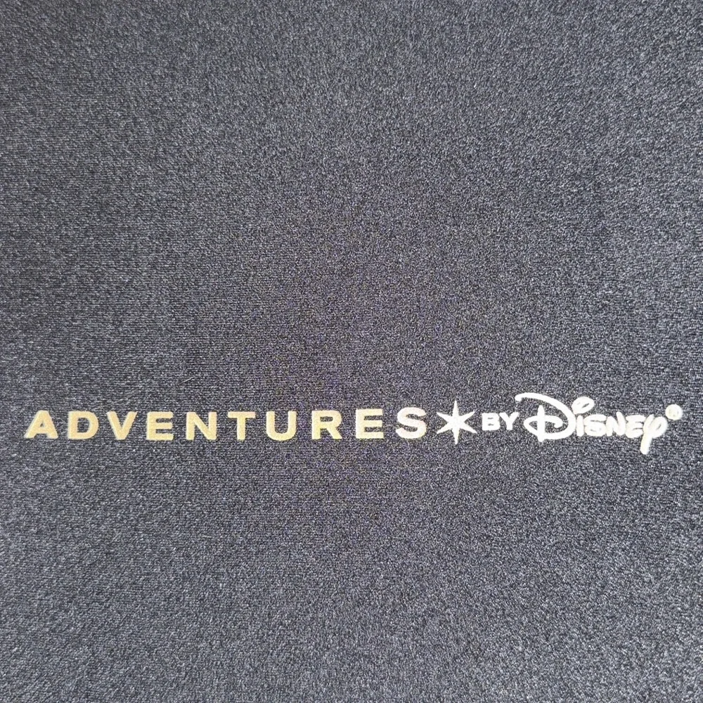 Disney IPad case with soft lining and lightly padded exterior 11x9x1 New